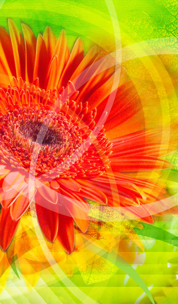 Красное сияние