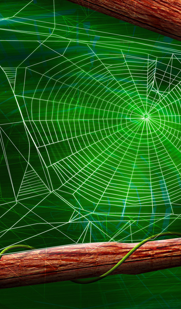 Паук и паутина