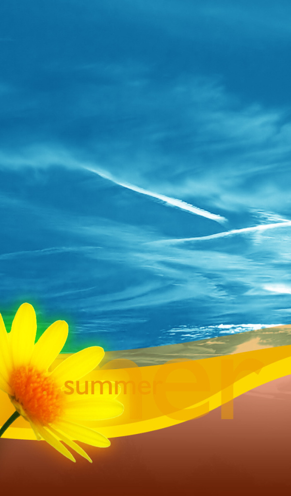 Летние ромашки