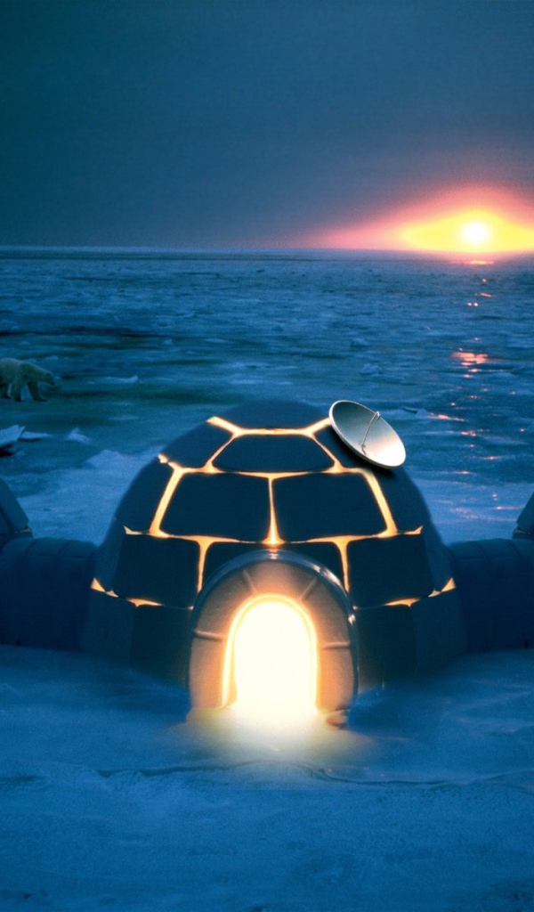 Хай тек иглу