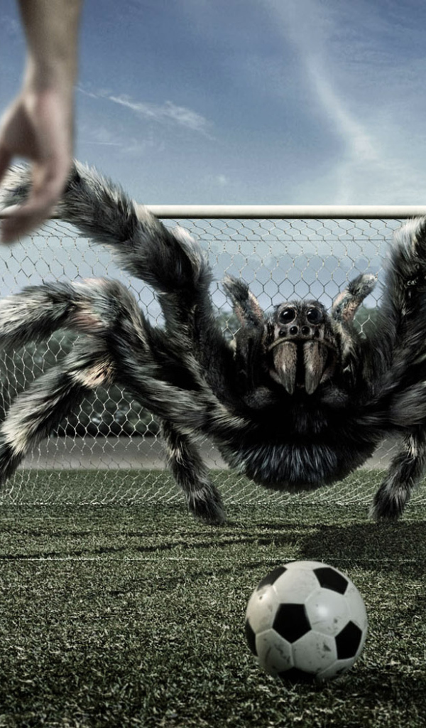 Многорукий вратарь