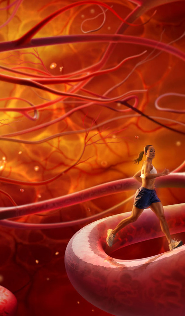 Тренировка