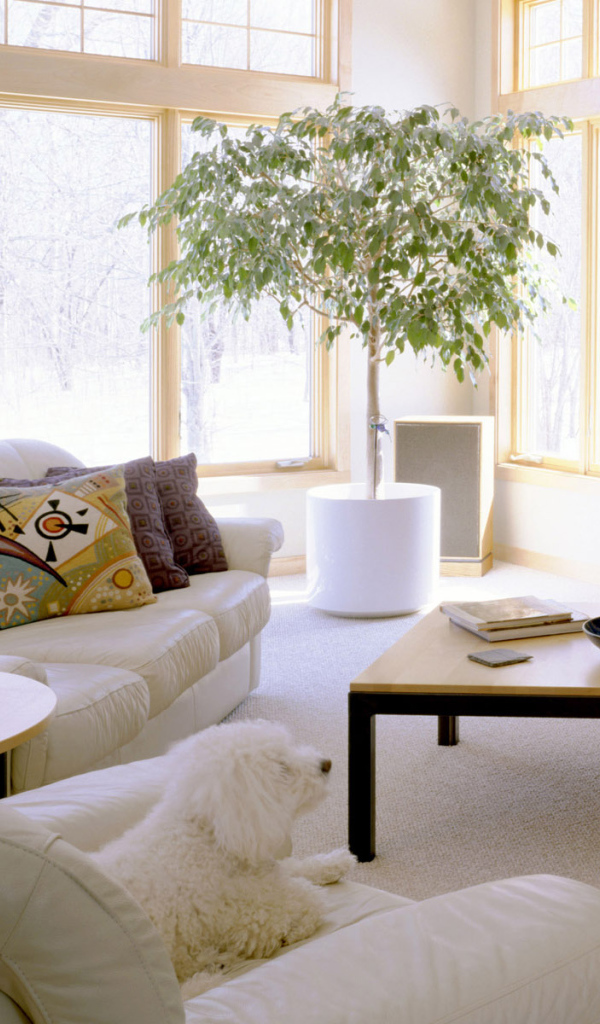 Комната отдыха с иллюминацией