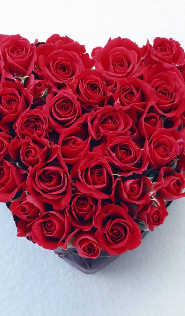 Красное сердце