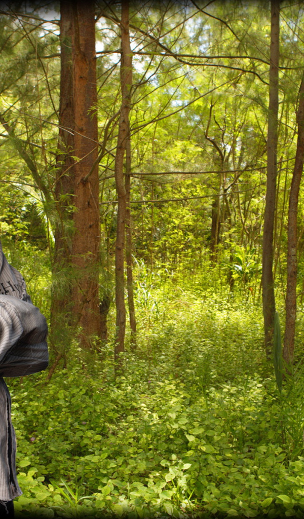 Остаться в живых / Сериал потерянные / LOST / Доминик Монаган в роли Чарли