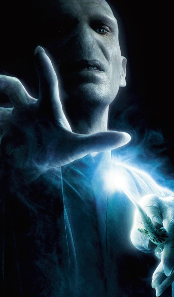 Гарри Поттер и орден Феникса / Harry Potter and Order of Phoenix