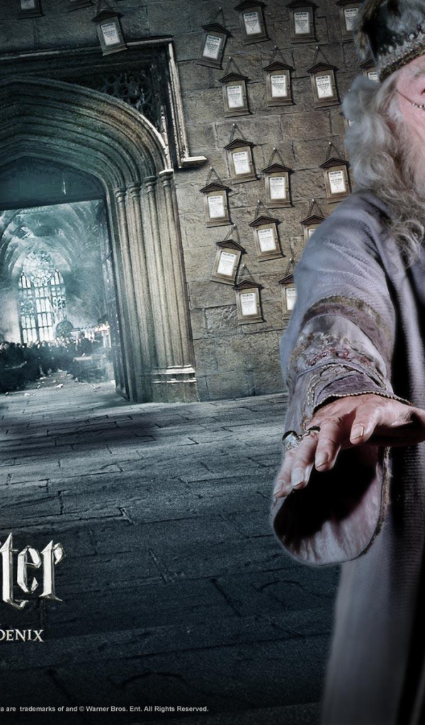 Гарри Поттер и орден Феникса / Harry Potter and Order of Phoenix