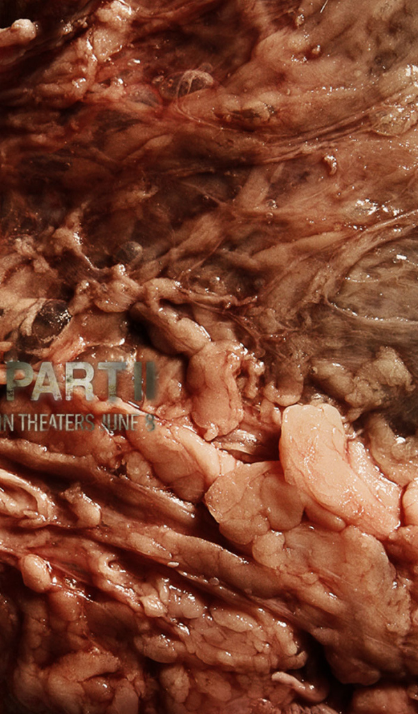 Хостел 2 / Hostel 2