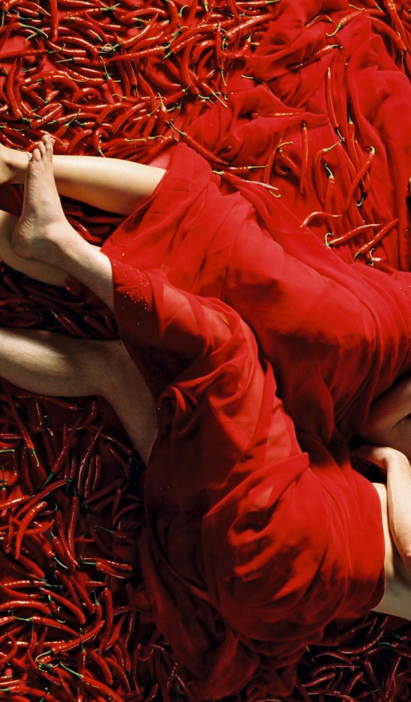 Принцесса специй / Mistress of Spices