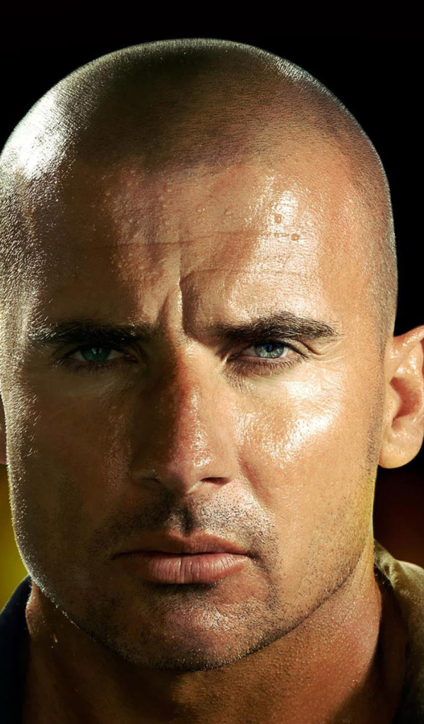 Побег из Тюрьмы 4 сезон / Prison Break 4 season