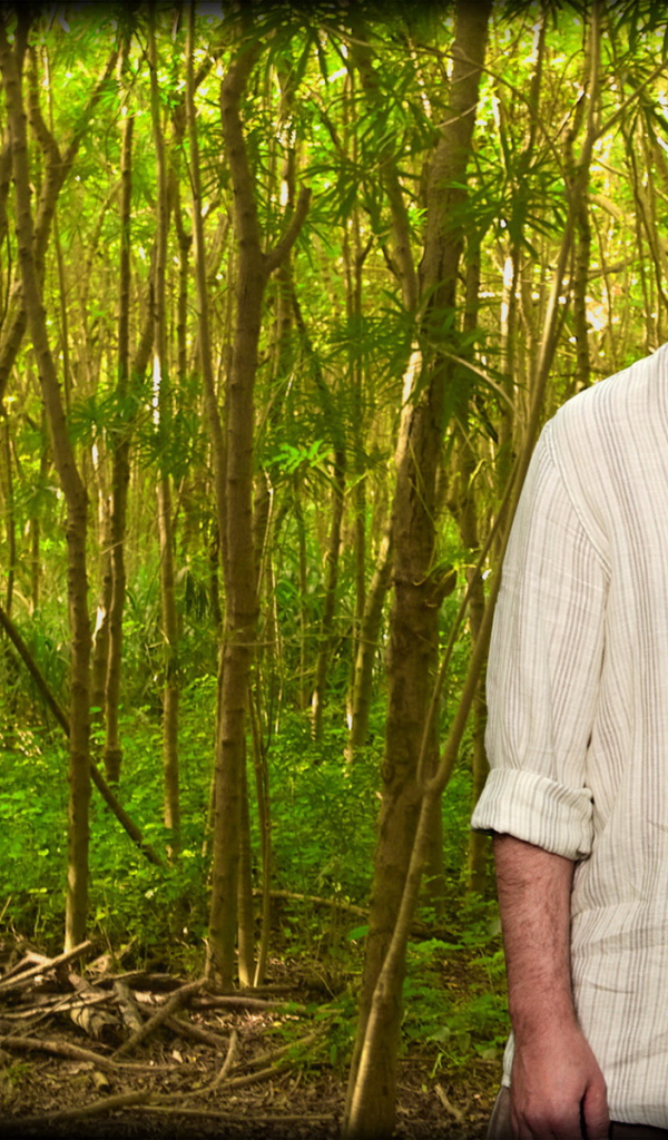 Остаться в живых / Сериал потерянные / LOST / Генри Гейл