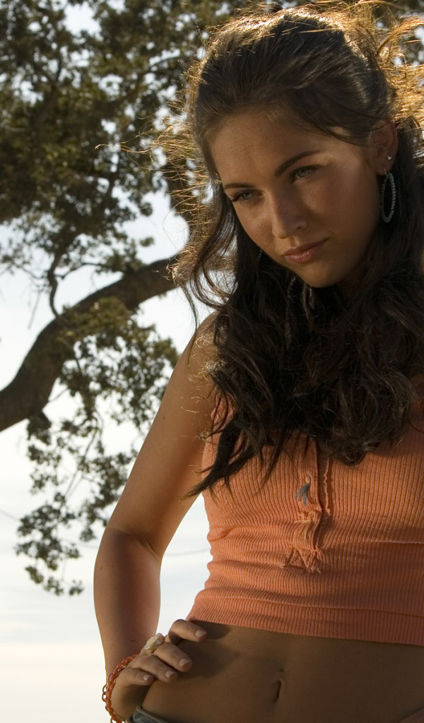 Трансформеры / Transformers