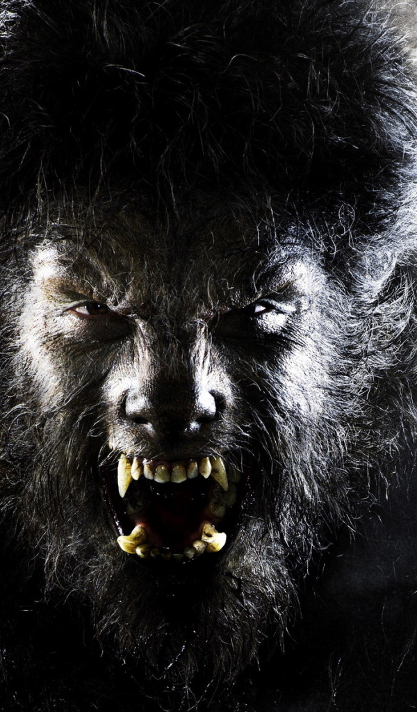 Человек волк - Wolf Man , The