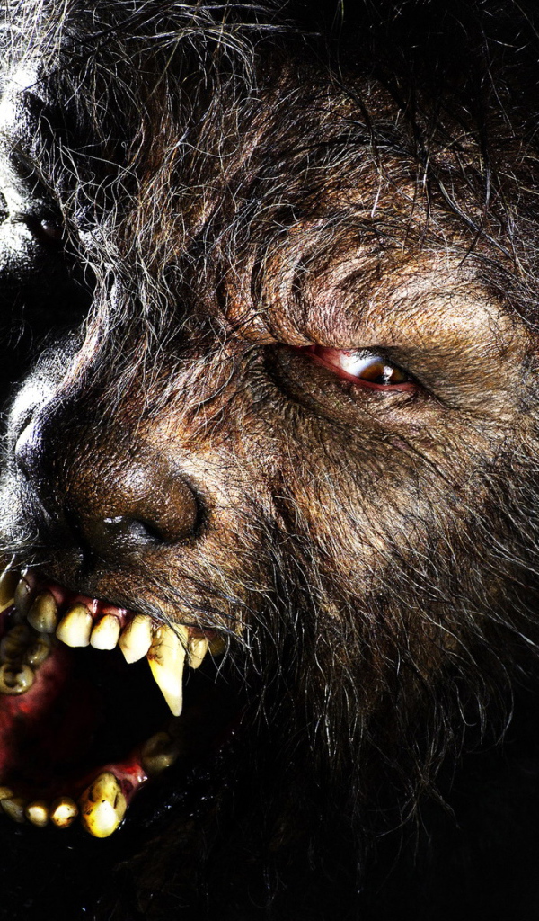 Wolf Man , The