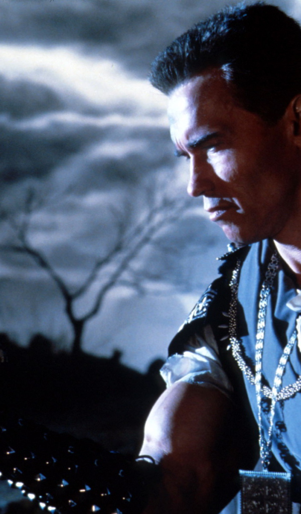 Последний киногерой / Last Action Hero