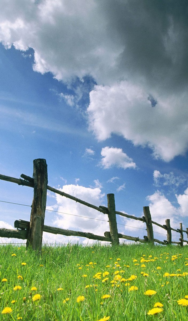 Русское поле