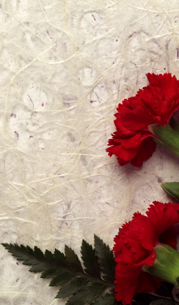 Декор Гвоздики, Цветы