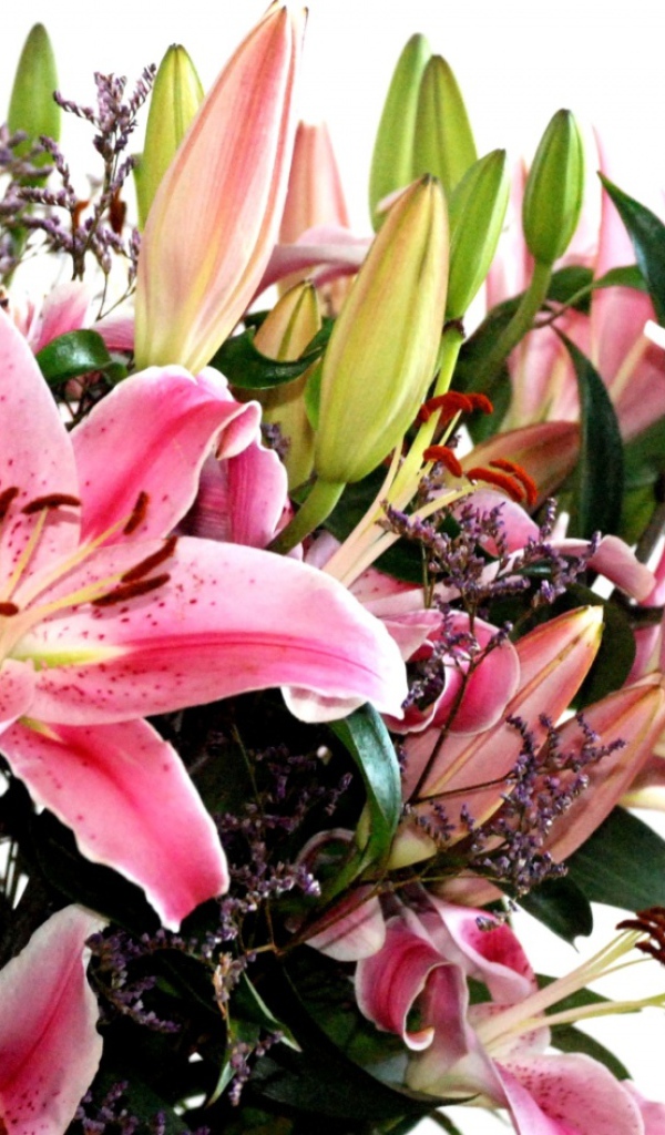 Хороший, Цветы