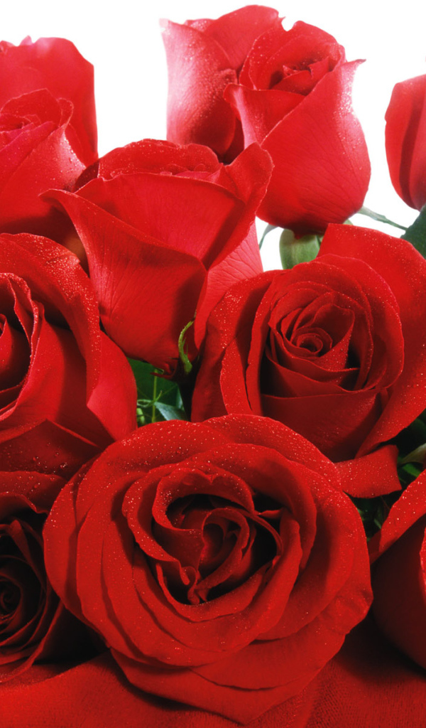 Красные Валентинки