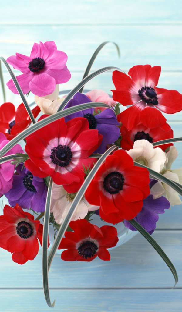 Цветы на стене