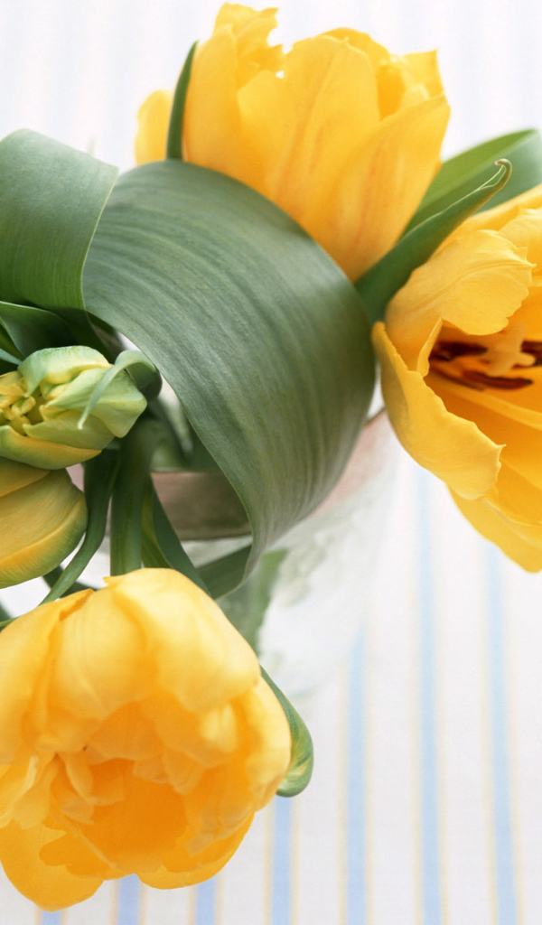 Желтые цветы