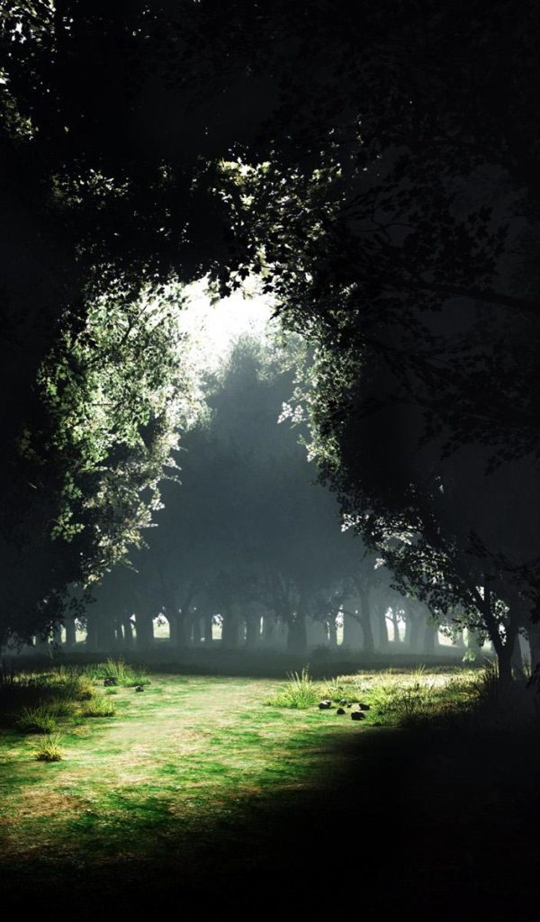 Просвет Темного леса