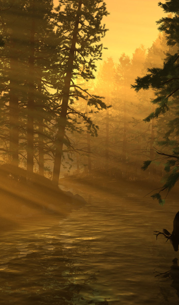 Лесная река