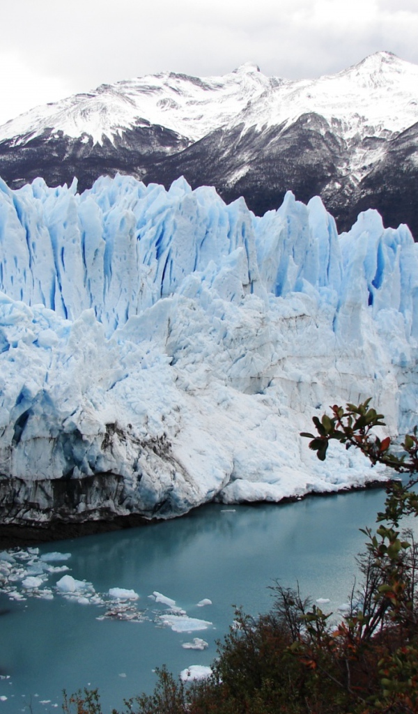 Таяние ледника