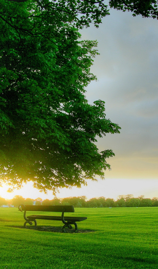Рассвет в парке