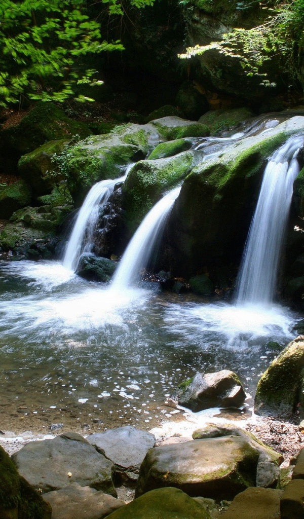 Водопад в лесу