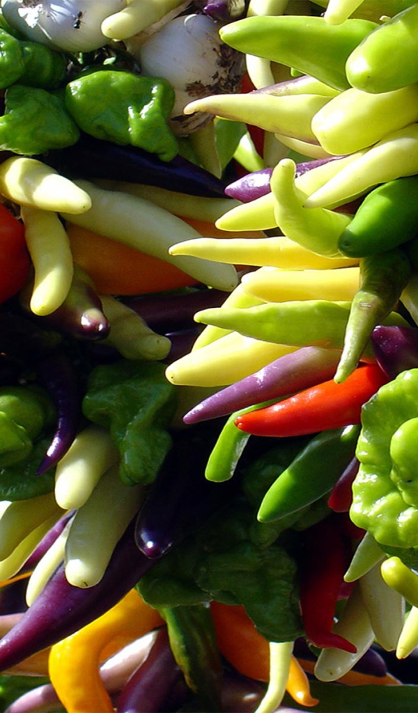 Яркие перцы