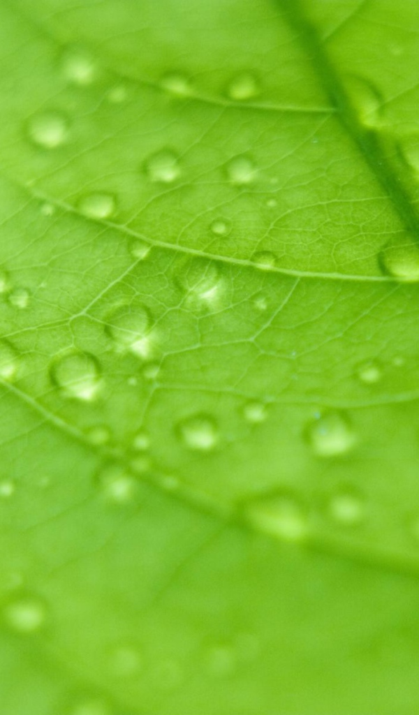 Сбор капель