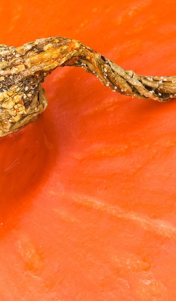 Оранжевая часть тыквы