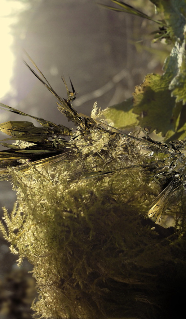 Заостренные листья