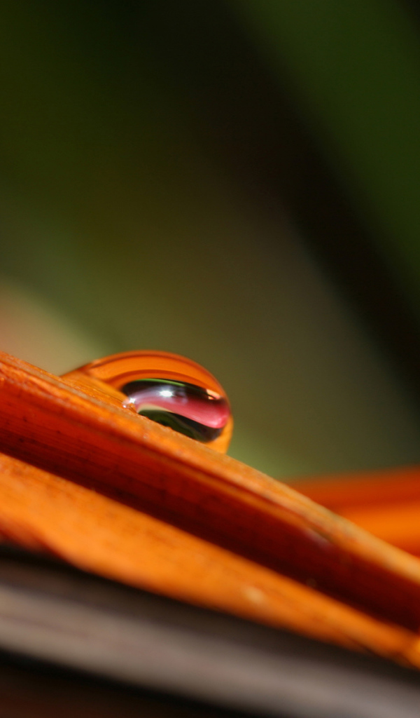 Гладкое Скольжение