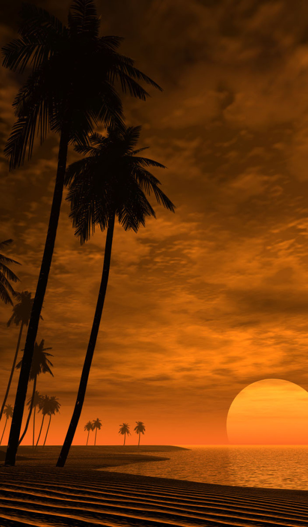 Африканский закат