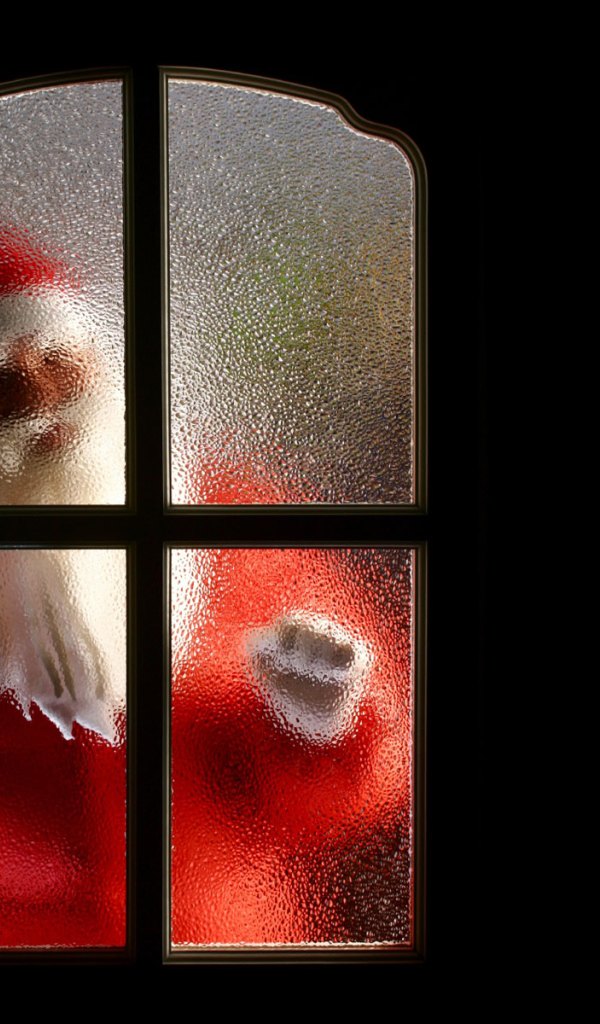 Санта за окном