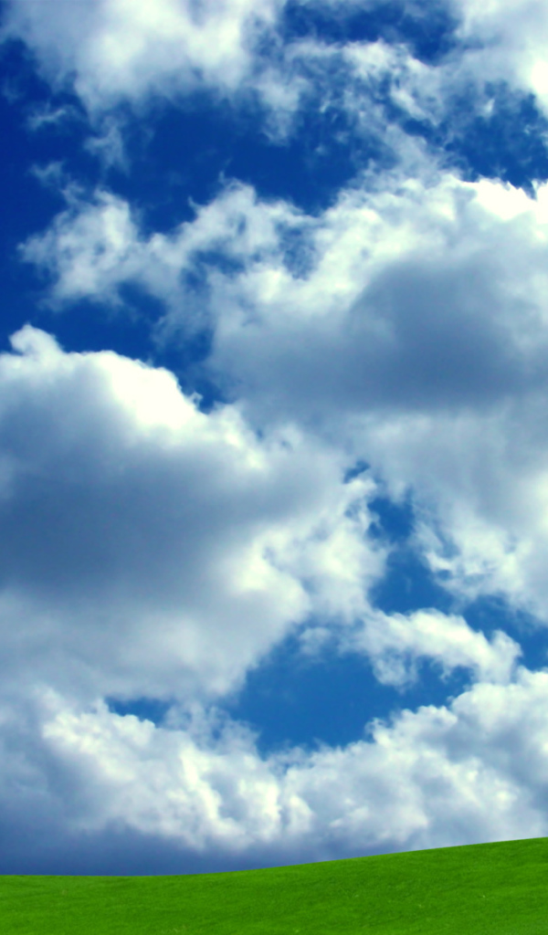 Лучшее счастье