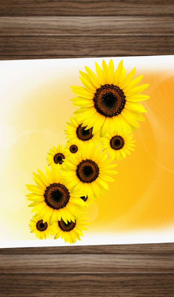 Красочный Рабочий стол