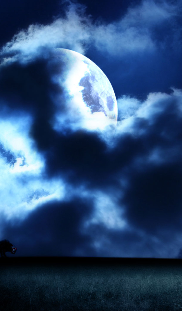 Смерть в поисках душ