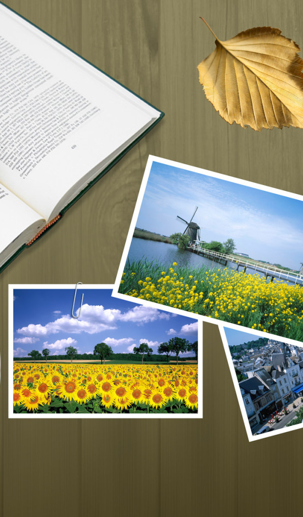 Рабочий стол Географа