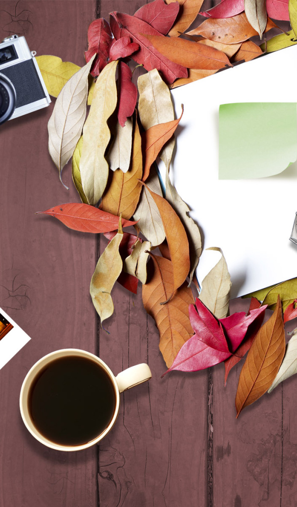 Рабочий стол режиссера