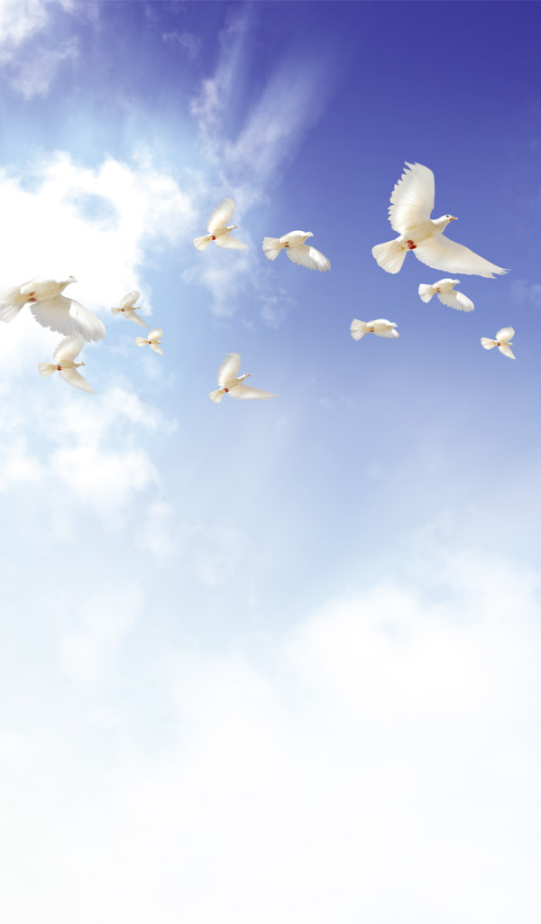 Летящие голуби