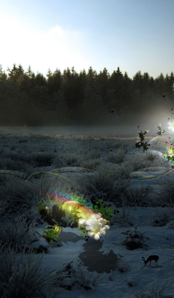 Волшебные цветы