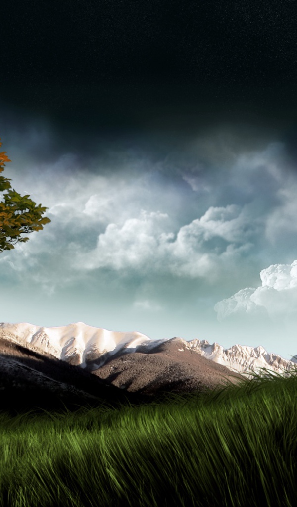 Луна над полем