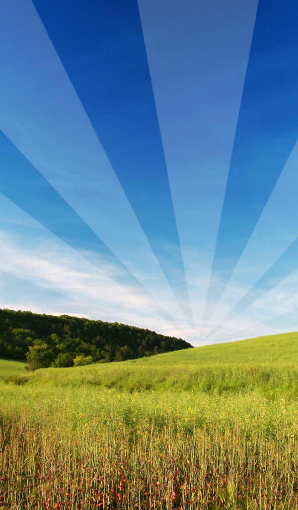 Открытый и свободный