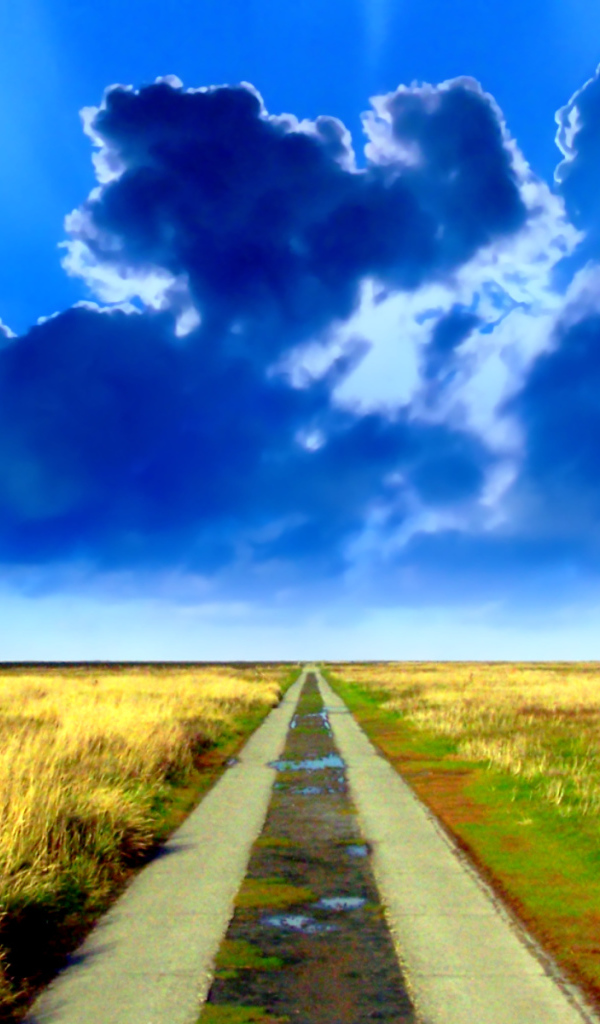 Дорога в никуда