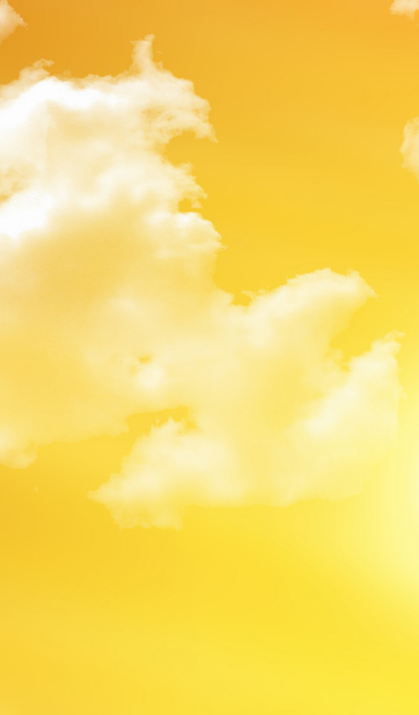 Птица заката