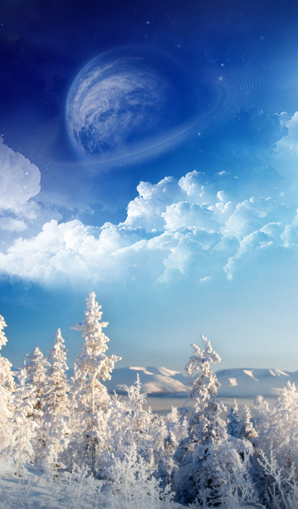 Зимняя страна чудес