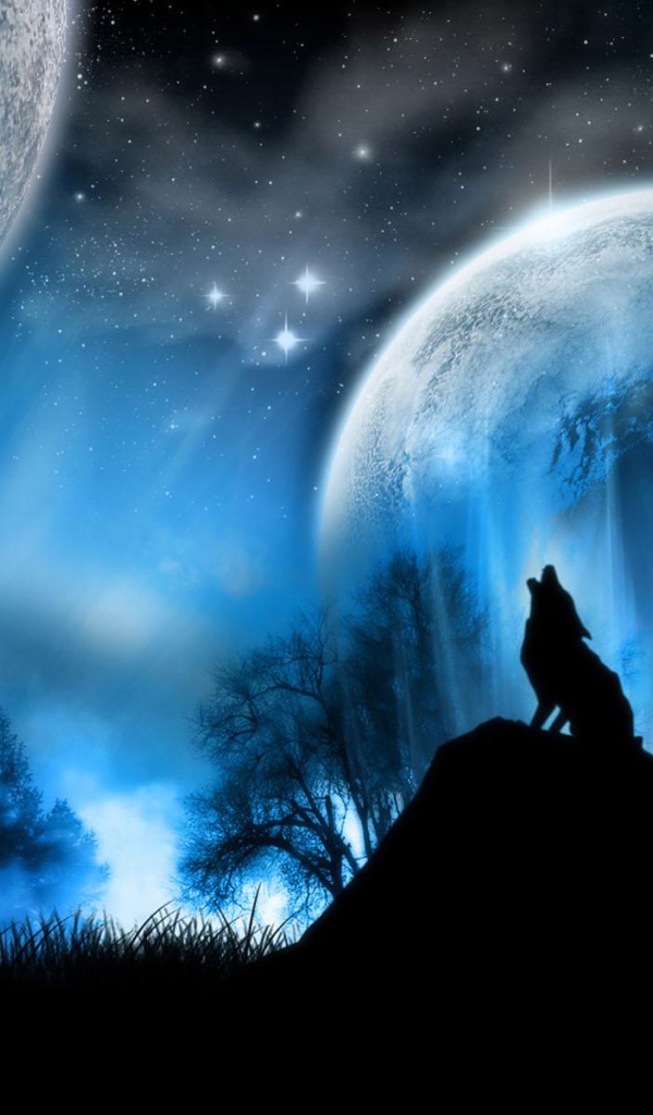 Одинокий волк